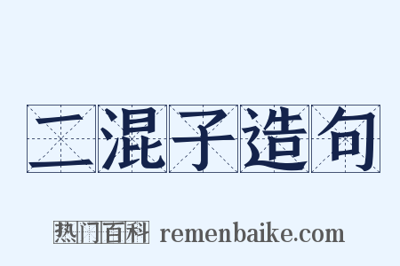 二混子造句是什么意思的图片